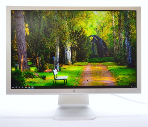 Apple cinema display - 20",