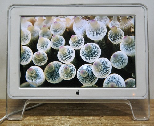 Apple lcd cinema - apple, 20"